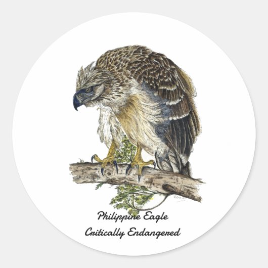 絶滅危惧種の美しいフィリピンイーグルのアートワーク ラウンドシール (正面)