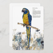 絶滅危惧種の青い喉を持つマカオの水色 シーズンカード (正面/裏面)