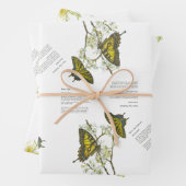 絶滅危惧種アゲハチョウとホニエ色彩の鮮やかータ手 ラッピングペーパーシート (インサイチュ)