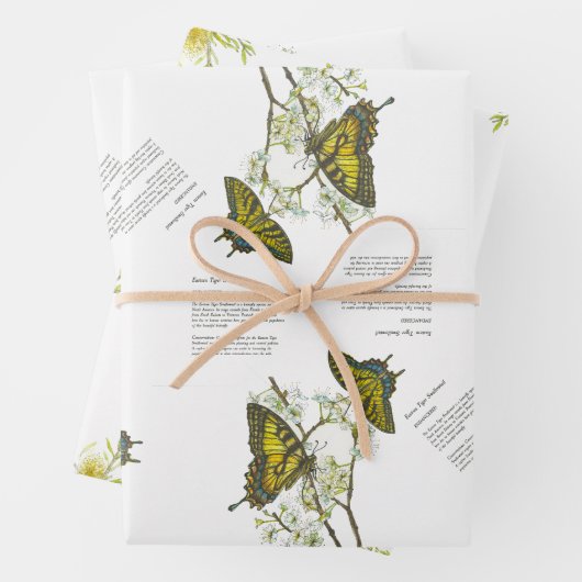 絶滅危惧種アゲハチョウとホニエ色彩の鮮やかータ手 ラッピングペーパーシート (インサイチュ)