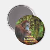 絶滅危惧種オランウータンス赤アペ野生動物芸術マグネット マグネット (正面/裏面)