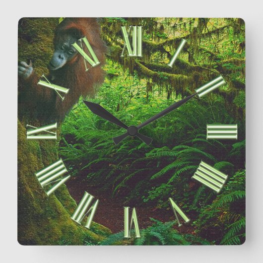 絶滅危惧種オランウータン&レインフォレスト霊長類イメージ2 スクエア壁時計 (正面)