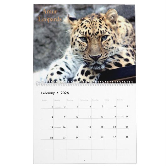 絶滅危惧種カレンダー カレンダー (2月 2026)