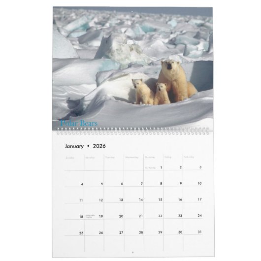 絶滅危惧種カレンダー カレンダー (1月 2026)