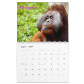 絶滅危惧種カレンダー カレンダー (3月 2027)