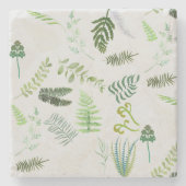 絶滅危惧種シダ ストーンコースター (正面)