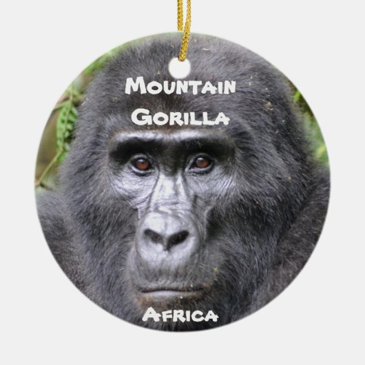 絶滅危惧種シリーズオーナメント セラミックオーナメント (正面)