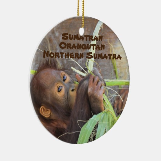 絶滅危惧種シリーズスマトラオランウラングタン セラミックオーナメント (右)
