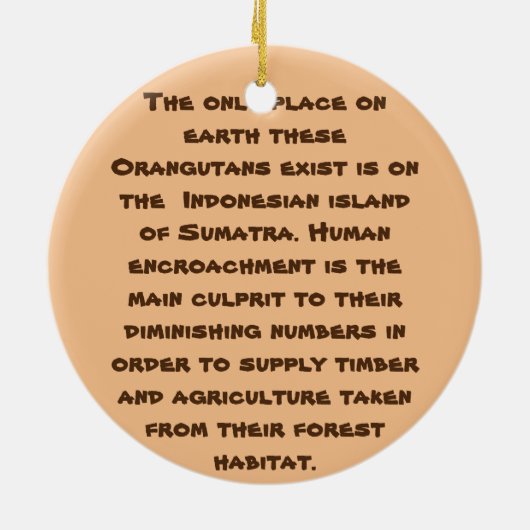 絶滅危惧種シリーズスマトラオランウラングタン セラミックオーナメント (裏面)