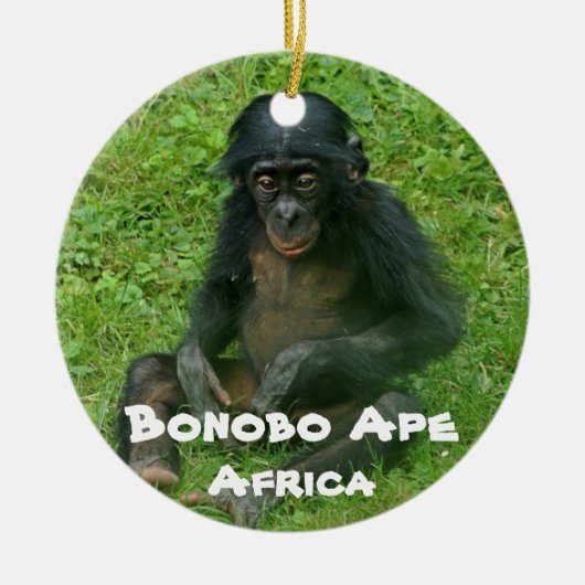 絶滅危惧種シリーズBonobo Ape セラミックオーナメント (正面)