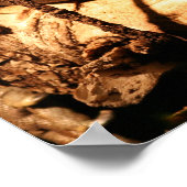 絶滅危惧種ジャマイカ・イグアナ、シクララ・コレイ ポスター (角)