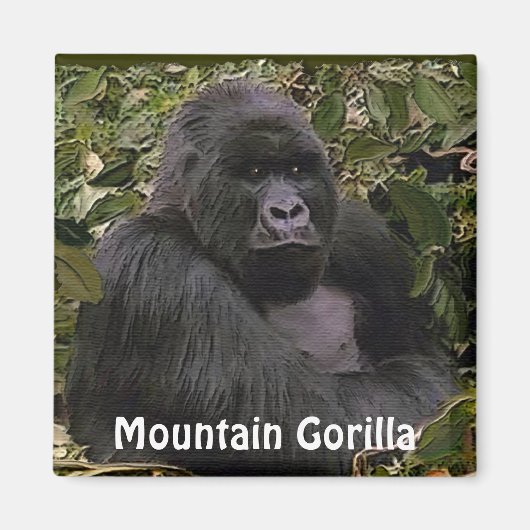 絶滅危惧種マウンテンゴリラ素晴らしアペArt Magnet マグネット (正面)