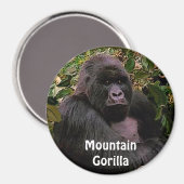 絶滅危惧種マウンテンゴリラ素晴らしアペArt Magnet マグネット (正面/裏面)