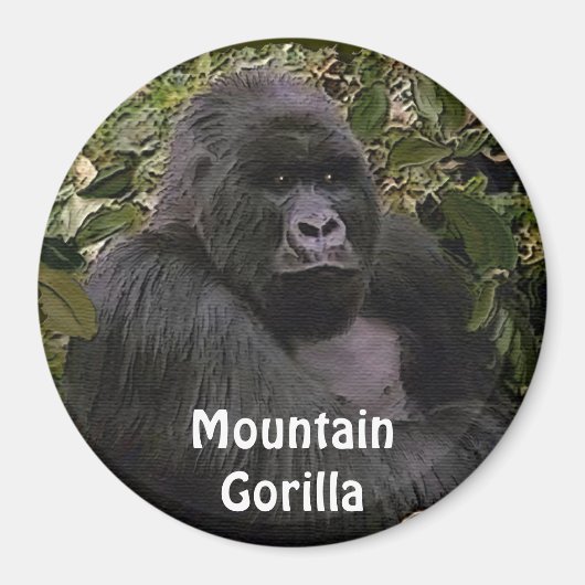 絶滅危惧種マウンテンゴリラ素晴らしアペArt Magnet マグネット (正面)