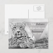 絶滅危惧種保護ヒョウの葉書 ポストカード (正面/裏面)