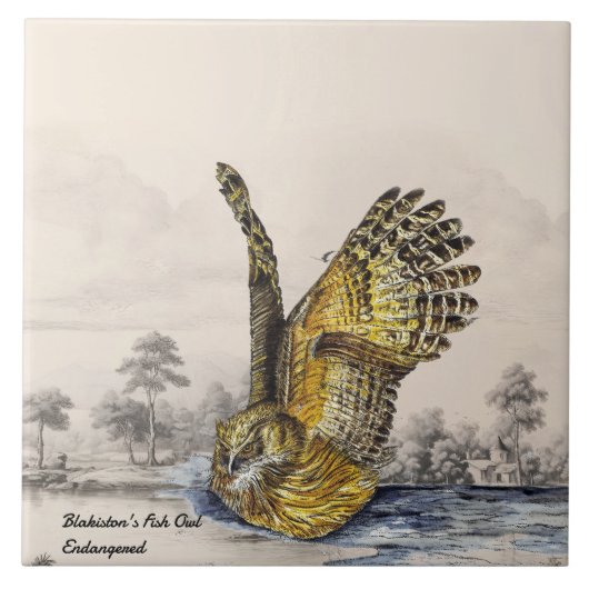 絶滅危惧種威厳のあるのシマフクロウ タイル (正面)