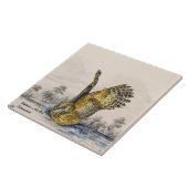 絶滅危惧種威厳のあるのシマフクロウ タイル (側面)