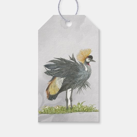 絶滅危惧種威厳のある灰色の冠を持つ鶴 ギフトタグ (正面)