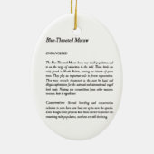 絶滅危惧種絵を描のマガー セラミックオーナメント (裏面)