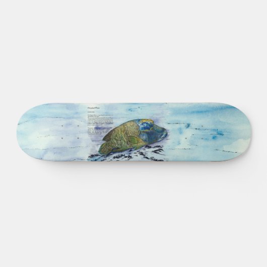 絶滅危惧種色彩の鮮やかのスケートボード スケートボード (横)