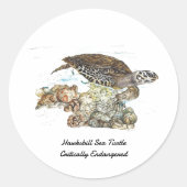 絶滅危惧種色彩の鮮やかのハクスビル ラウンドシール (正面)