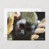 「絶滅危惧種？もしできな救済い！」 ポストカード (正面/裏面)