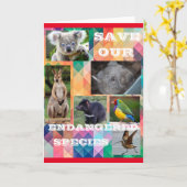 絶滅危惧種 カード (黄色い花)