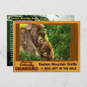 絶滅危惧種：東山ゴリラ –  ポストカード (正面/裏面)