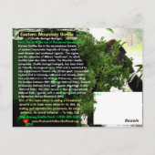 絶滅危惧種：東山ゴリラ –  ポストカード (裏面)