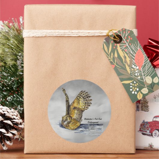 絶滅危色彩の鮮やか険性ラキストンのフクロウ ラウンドシール (クリスマス)