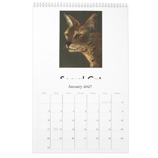 絶滅寸前の大きな猫 カレンダー (1月 2027)