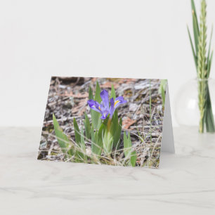 絶滅寸前の小型湖のアイリスNotecard カード