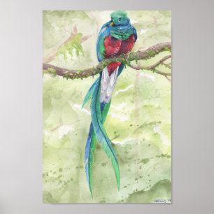絶滅寸前のQuetzal ポスター