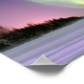 絶滅救の危機にあるホッキョクグマ ポスター (角)