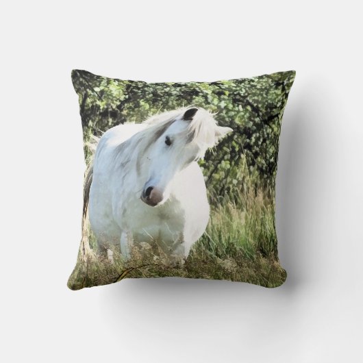 絶頂の馬 クッション (裏面)