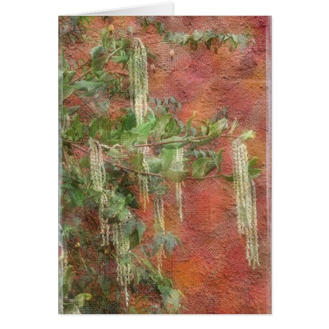 絹のふさの木-カード (正面)