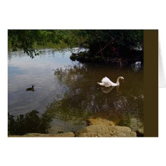 絹の白鳥カード