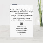 絹の種は飛びます カード (裏面)