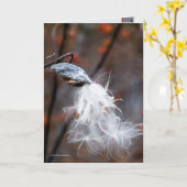 絹の種は飛びます カード (黄色い花)