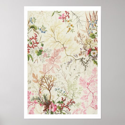 絹材用海藻デザイン(紙上w/c) ポスター (正面)