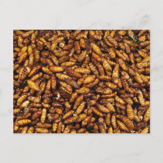 絹毛のフライドワーム…タイ通り ポストカード (正面)