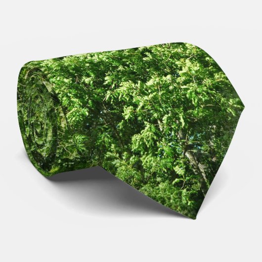 継ぎ目のない木 ネクタイ (ロール)