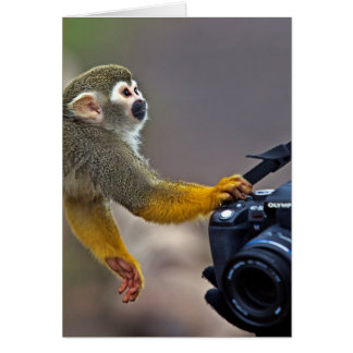 続いて下さい! 私を打撃を取ることを許可して下さい