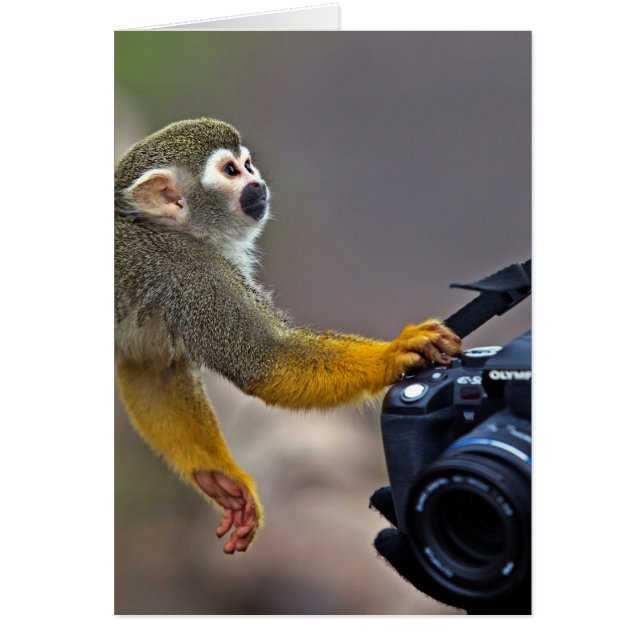 続いて下さい! 私を打撃を取ることを許可して下さい (正面)