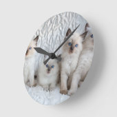 続けて坐っているRagdoll 4匹の若い猫 ラウンド壁時計 (傾斜)