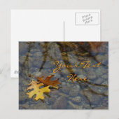 続編はがき ポストカード (正面/裏面)