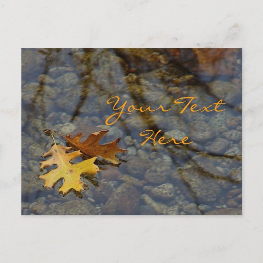 続編はがき ポストカード (正面)