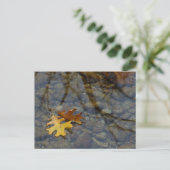 続編 ポストカード (スタンド正面)