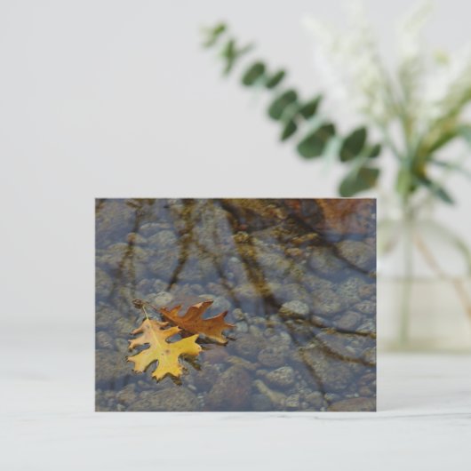 続編 ポストカード (スタンド正面)