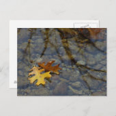 続編 ポストカード (正面/裏面)